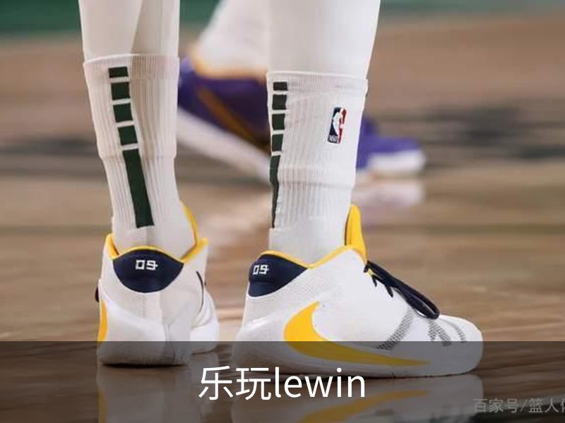 乐玩lewin介绍